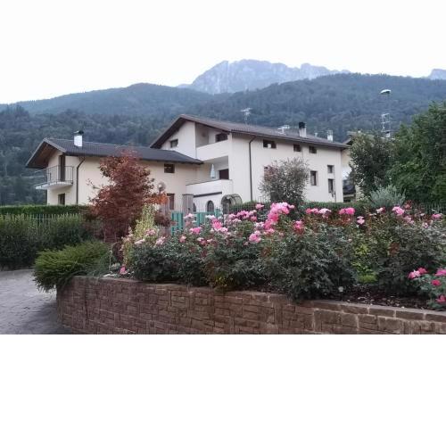 Appartamenti Casa Viviana