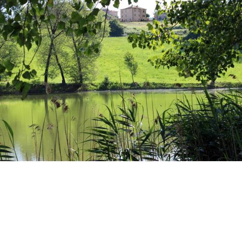 Appartamenti Cenni - Relais su Lago