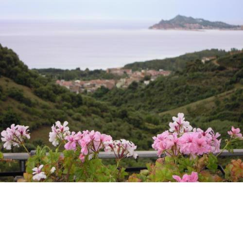 Appartamenti Con Vista Panoramica