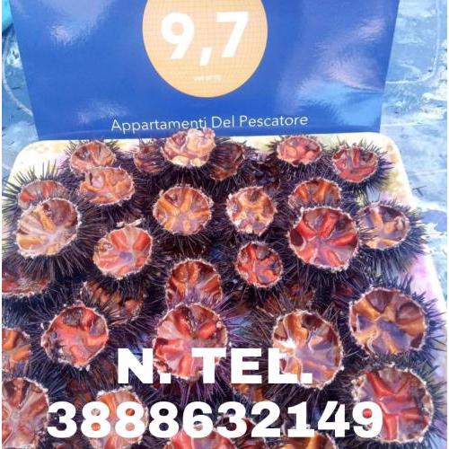 Appartamenti Del Pescatore