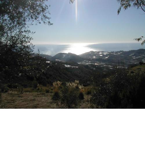 APPARTAMENTI IN VILLA - Il Geko Blu