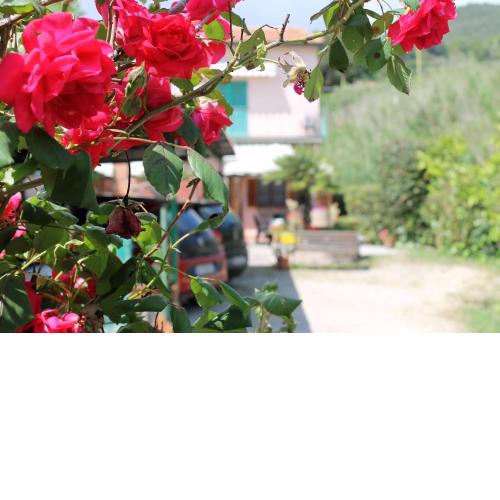 Appartamenti Val di Denari