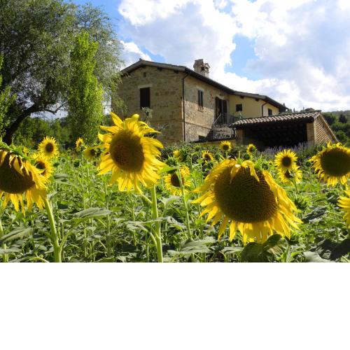 Appartamenti Verde Collina Umbra