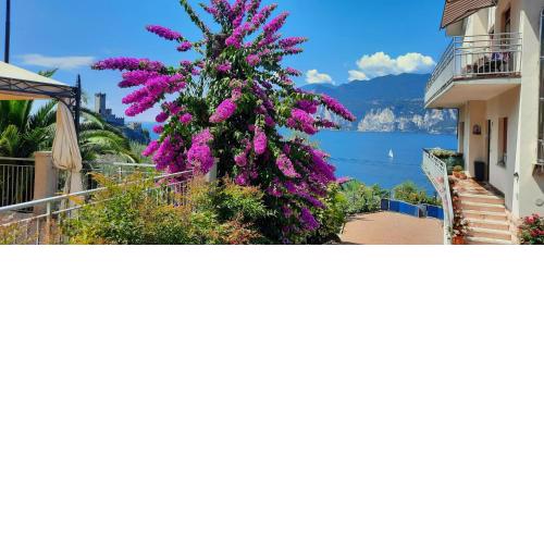 Appartamenti Villa Eden