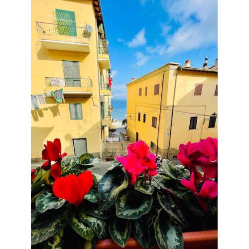 Appartamento a Porto Santo Stefano a 50 mt dal mare