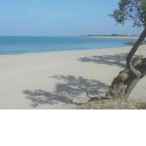 Appartamento Alba vista spiaggia