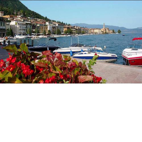 Appartamento Alla Fonte