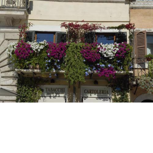 Appartamento Benincampi