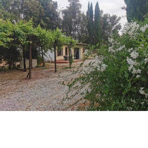 Appartamento bilocale sulla Via Francigena a Campagnano di Roma