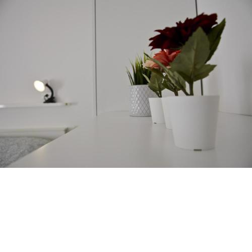 Appartamento Casa Giardino - Affitti Brevi Italia