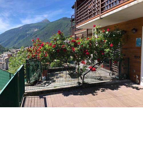 Appartamento Castel