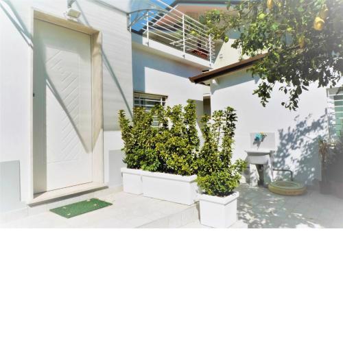 Appartamento con dépandance vicino al mare Viareggio