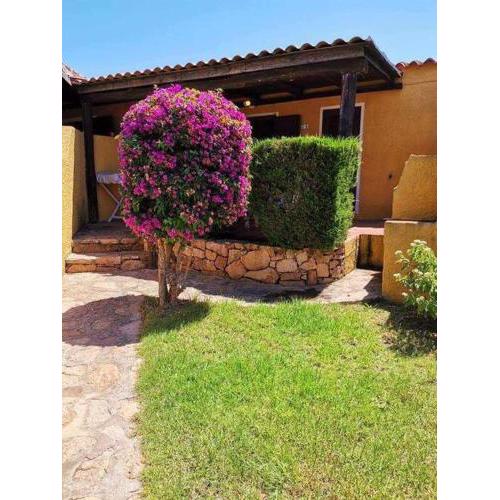 Appartamento con Giardino 1/15 - Porto Pollo