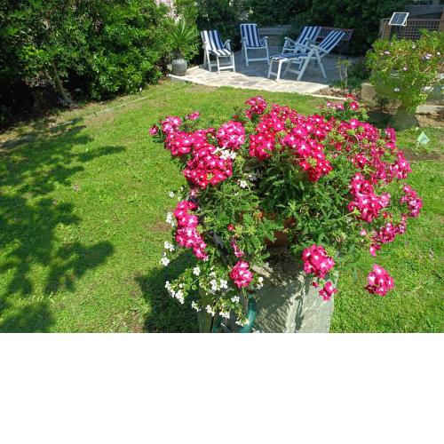 Appartamento con giardino a Boccadasse