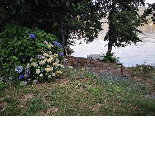 APPARTAMENTO con SPIAGGIA PRIVATA SUL LAGO D'ORTA