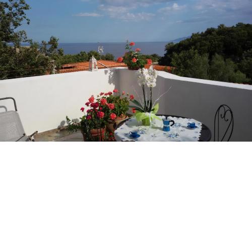appartamento con terrazza vista mare