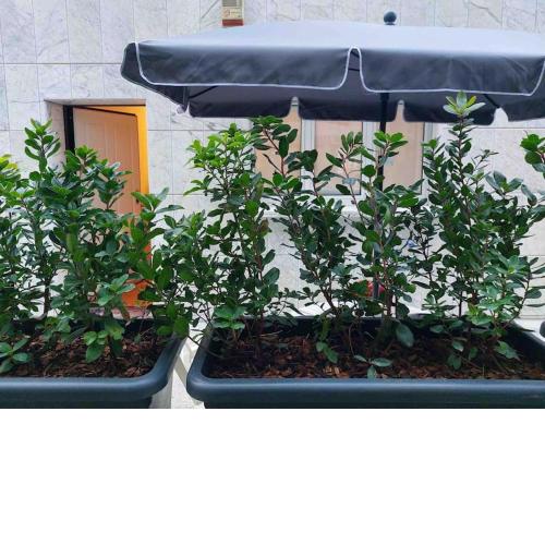 Appartamento con terrazzo Milano