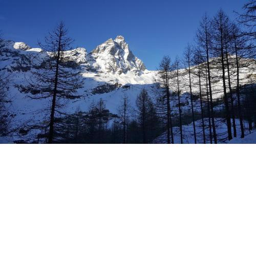 appartamento con vista Cervino- frazione Breuil Cervinia Cieloalto Piano 3 appartamento 306 reception Coin au Paradise