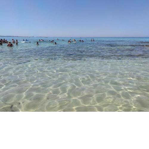 Appartamento da SaMi lido le conchiglie