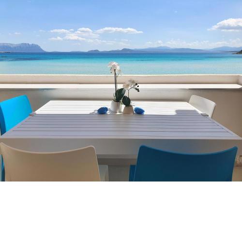 Appartamento delfino azzurro