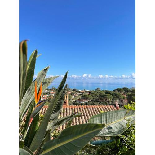 Appartamento DOMUS CELESTE COSTA REI VISTA MARE