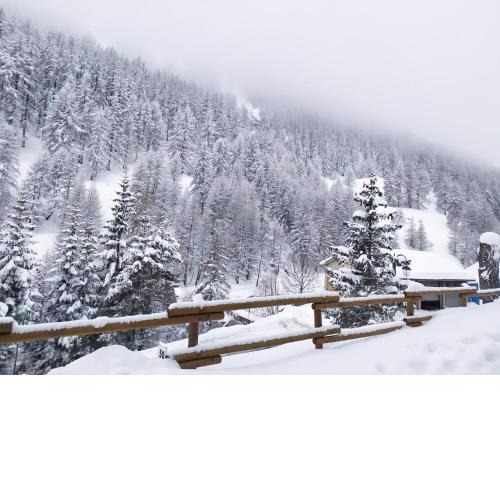 Appartamento Germano - Regina delle Alpi