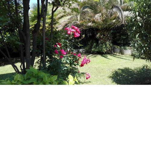 Appartamento giardino sugli ulivi