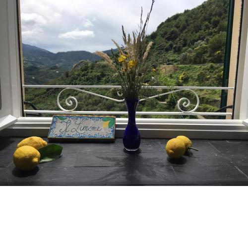 Appartamento Il Limone