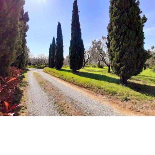 Appartamento Il Palagio