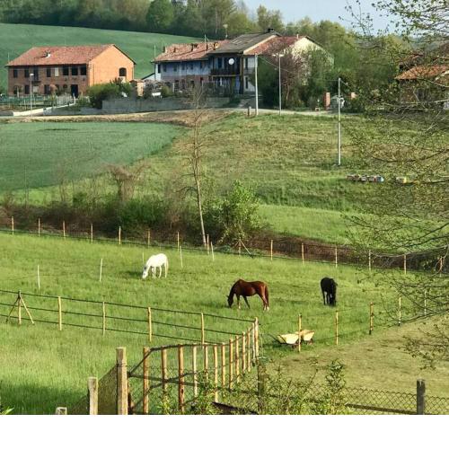 Appartamento in cascina - la cascinetta di Ali'-