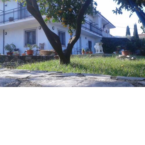 Appartamento in Collina