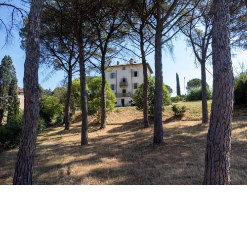 Appartamento in palazzo Liberty con pineta