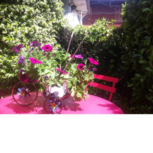 Appartamento Lago Maggiore