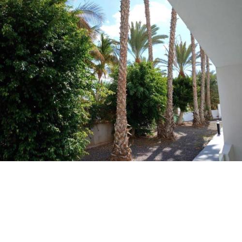 Appartamento Las Palmas