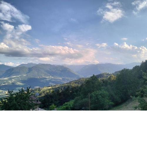Appartamento Luce