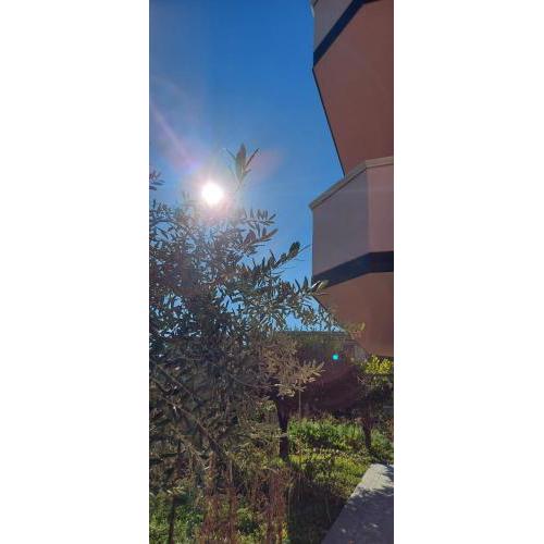 Appartamento L'Ulivo