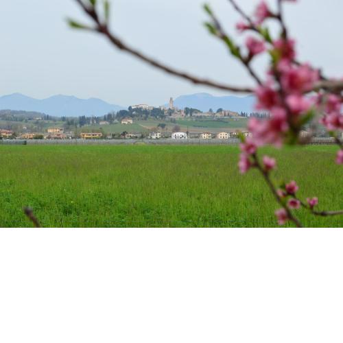 Appartamento Mi.Lu