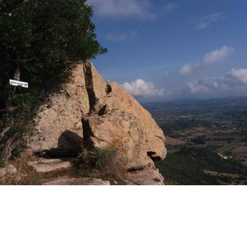 Appartamento MonteArista