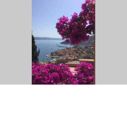 Appartamento panoramico: Residence Ulivi e Sole