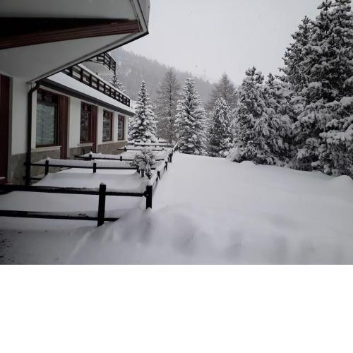 Appartamento Pragelato centro con giardino privato