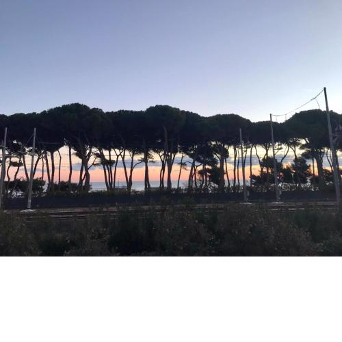 Appartamento Residence Rendez Vous Pineto 11