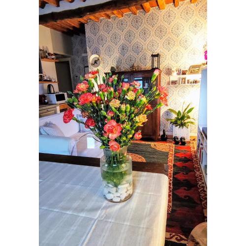 Appartamento rustico Lucca stazione