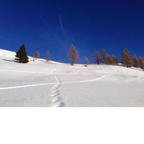 Appartamento Saslonch 21