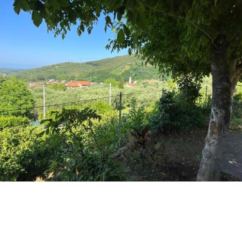 Appartamento Sergio, colline della Versilia