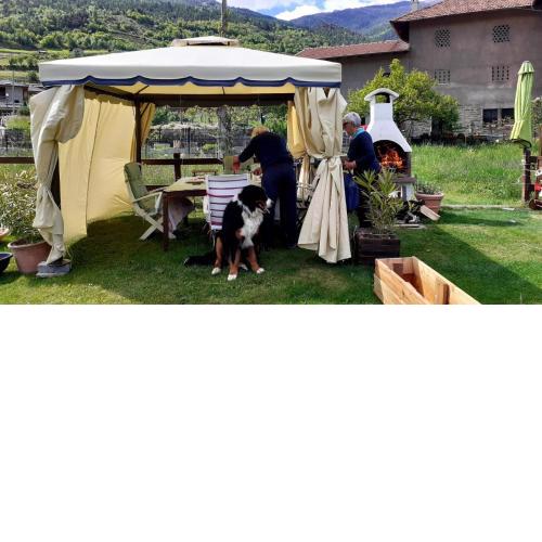 appartamento signorile con giardino