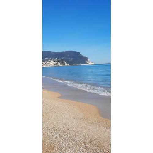 APPARTAMENTO SULLA RIVIERA DEL CONERO