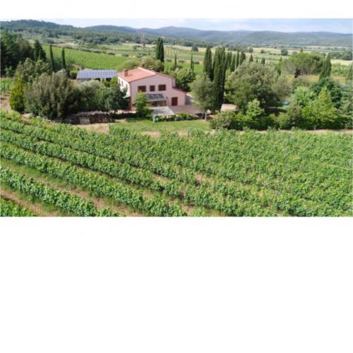 Appartamento Tenuta di Litiano
