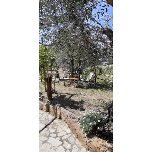 Appartamento Ulivo