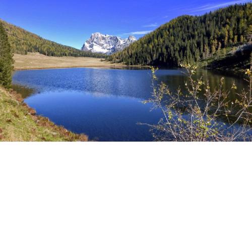Appartamento Vanoi nel cuore verde del Trentino