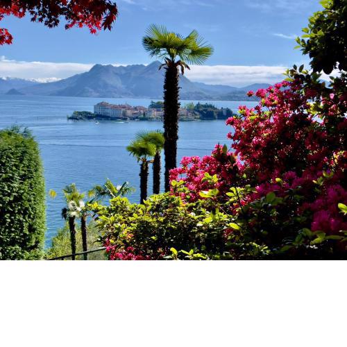 Appartamento vista Lago, giardino spiaggia Stresa